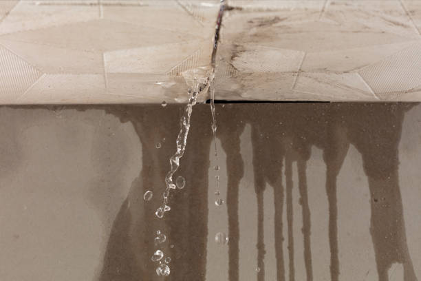 Professional Structural Drying technician working in Edgerton, OH